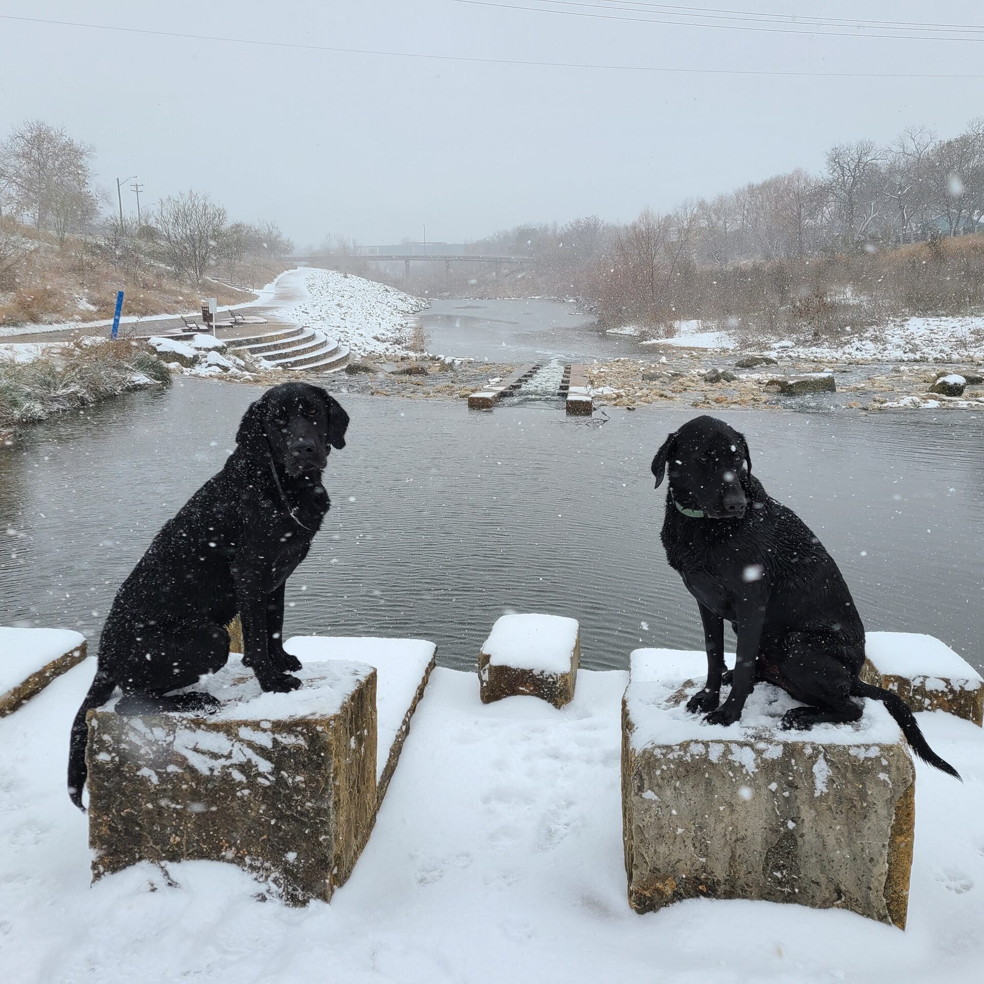 Calder Henry Snowpocolypse