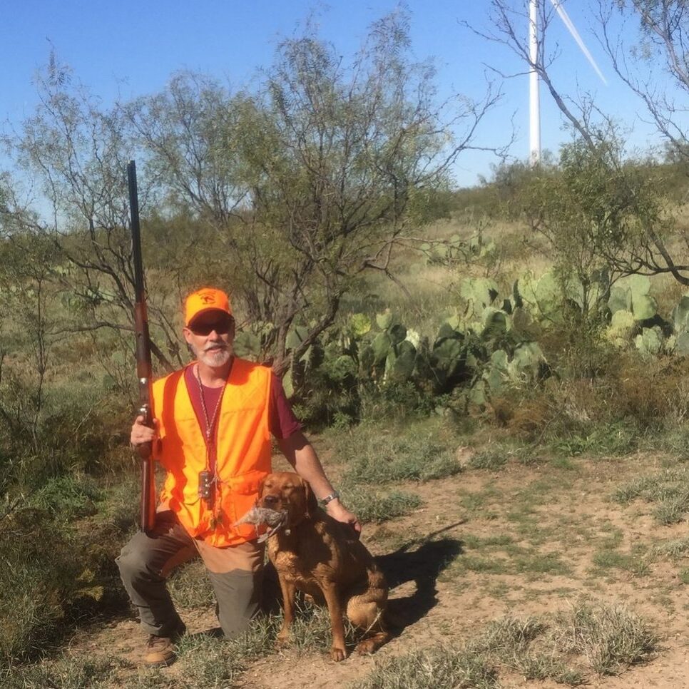 Rye Quail Hunting 2016 (2)